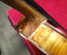 img_20240130_091618.jpeg