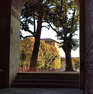 Appartamento - Vista sul Parco del Castello di Vigevano