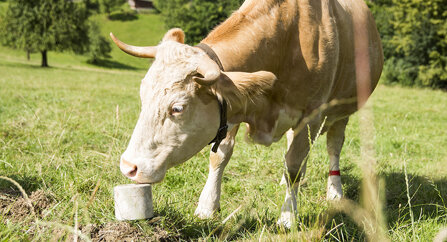 d973e892de95f8c4bfb822ad15d04a5becad32c5 d973e892de95f8c4bfb822ad15d04a5becad32c5