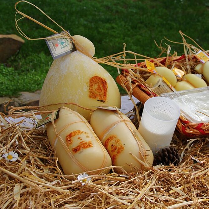 caciocavallo-dop-silano-a-chilometro-zero-formaggio-185.jpeg