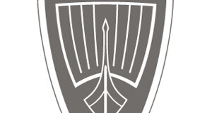 Rover | Visual Design