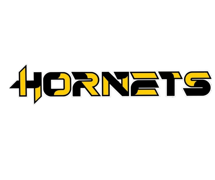 logo hornets scritta