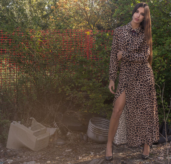 17f1a20f-93ca-46c3-947a-ef11092ece16