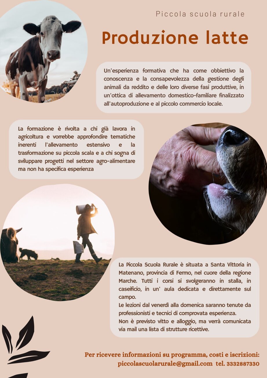 aacc96ded7de48481a1a79f2b44e02e77454152f