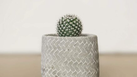 5e160903da9bc16d5bbbe757797a939c9a7920ff