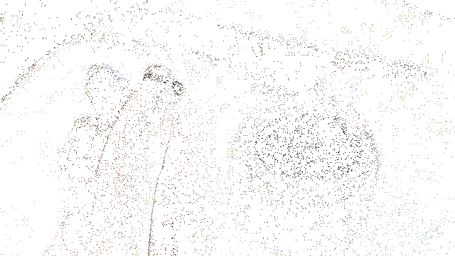 6a77ddbc28af0fd4adf0a6adc2e237fdf0fb997e