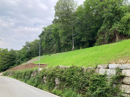 whatsapp image 2023-06-12 at 14.59.31.jpeg