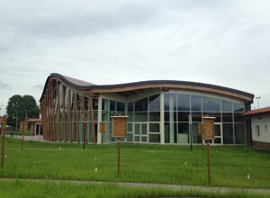 logo senza cornice.jpeg