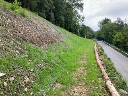 whatsapp image 2023-06-12 at 14.59.33.jpeg