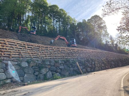 whatsapp image 2023-04-28 at 11.12.17.jpeg