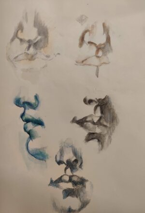 studi