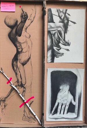 anatomia