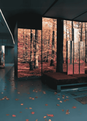 ledwall-home-cinema-ledwall-theatre-ledwall-cinema-family-1-595x446