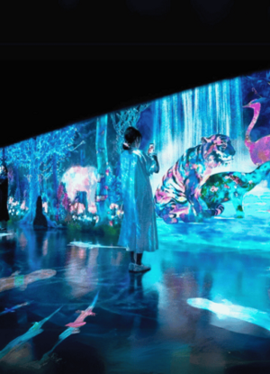 ledwall-auditorium-ledwall-convention-schermi-eventi-ledwall-indoor--595x446