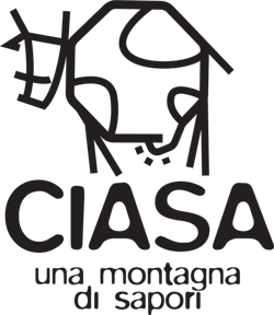 ciasa logo 45mm