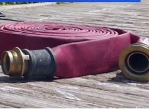 Manichetta Manichetta