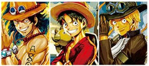 one-piece-ace-rubber-poster-in-pvc-lenticolare-3d-3040cm-3-immagini-6302-solo-poster