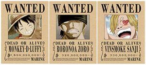 one-piece-rubber-zoro-sanji-poster-in-pvc-lenticolare-3d-3040cm-3-immagini-6366-solo-poster