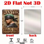 targha-zoro-one-piece-vintage-metal-wall-art-20x30-cm-in-metallo