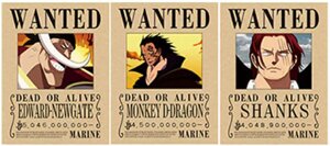 one-piece-barba-bianca-poster-in-pvc-lenticolare-3d-3040cm-3-immagini-6396-solo-poster