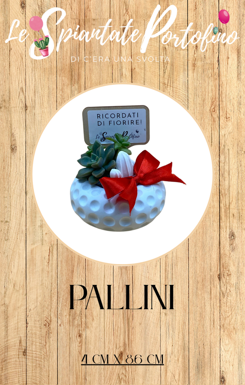 pallini-4cm-x-86cm-mod1