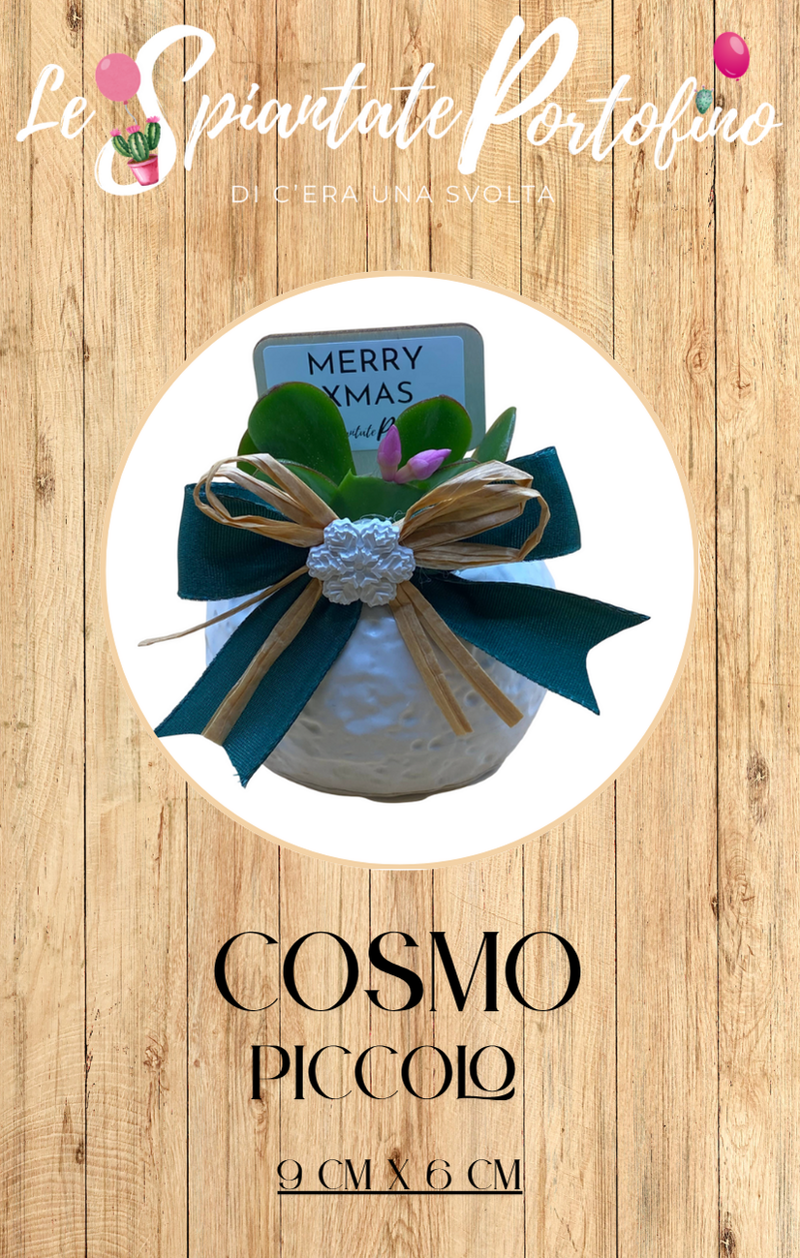 cosmo-piccolo-9cm-x-6cm