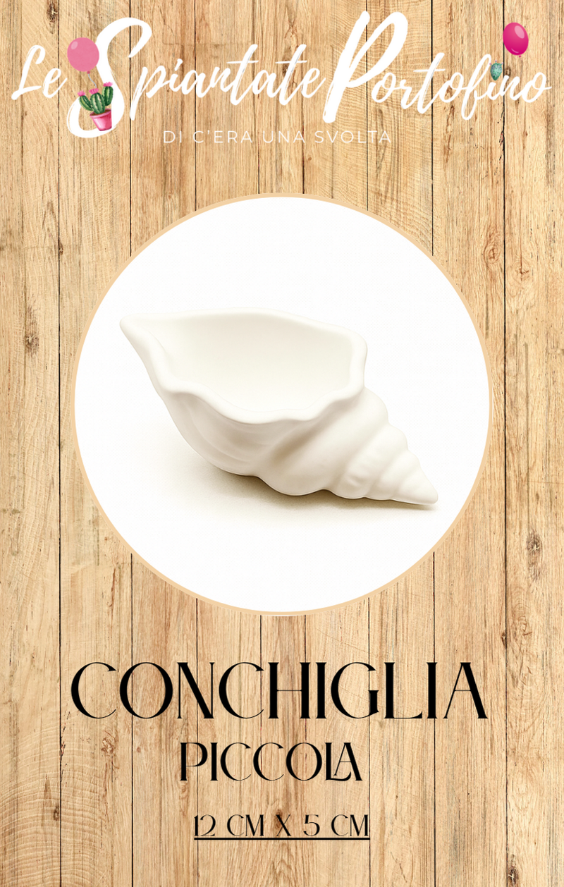 vasetto-conchiglia-piccolo-12cm-x-5-cm