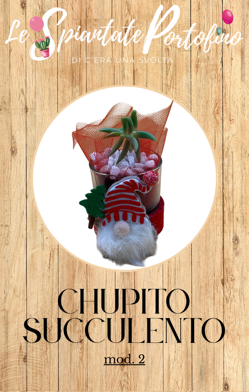 chupito-succulento-mod2