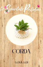 corda-6cm-x-3cm-mod2