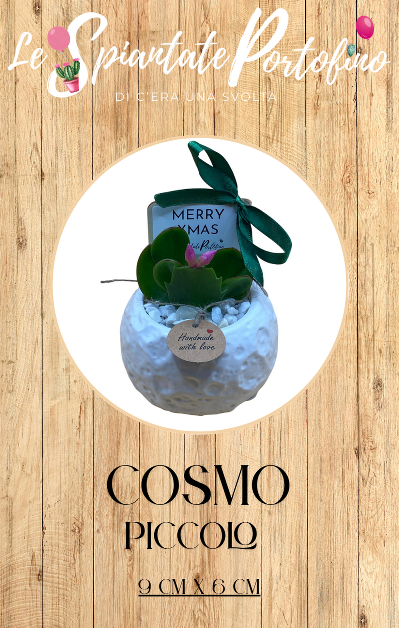 cosmo-piccolo-9cm-x-6cm-mod1