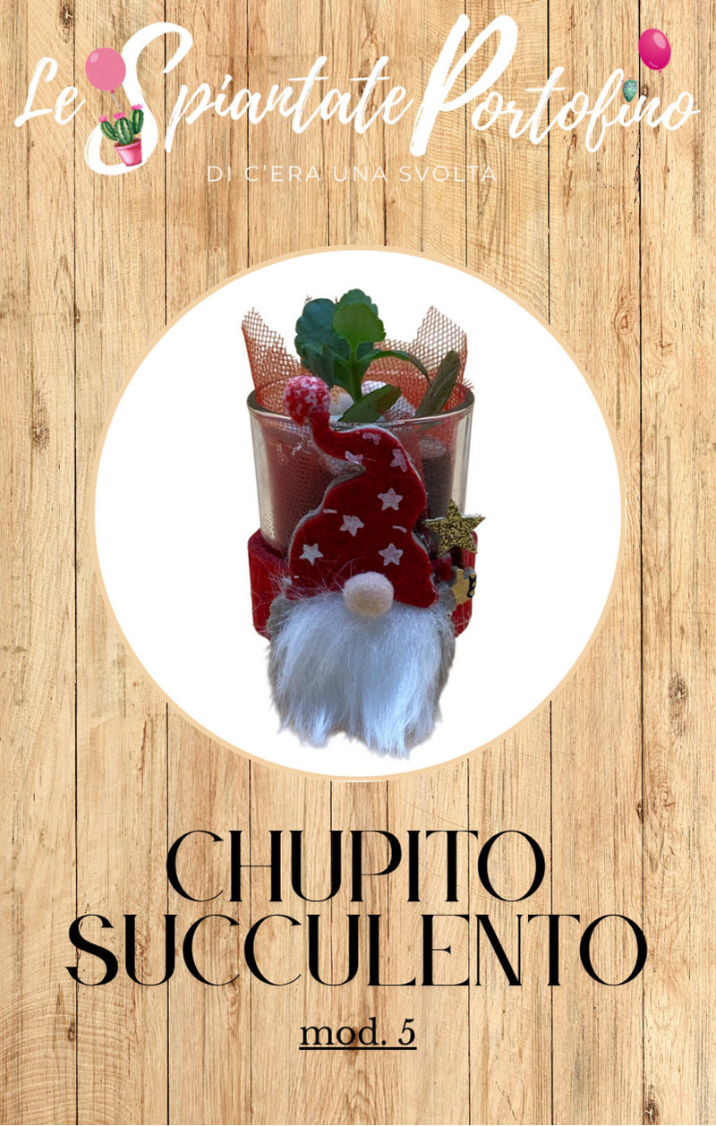 chupito-succulento-mod5