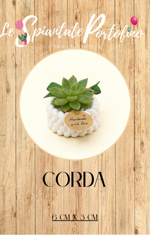 corda-6cm-x-3cm-mod3