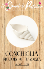 vasetto-conchiglia-piccola-affusolata-13cm-x-3-cm