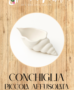 01%20conchiglia%20piccola%20ciccio%2012cm%20x%205cm 01%20conchiglia%20piccola%20ciccio%2012cm%20x%205cm