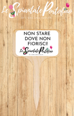 tag-frase-ispirazionale-4