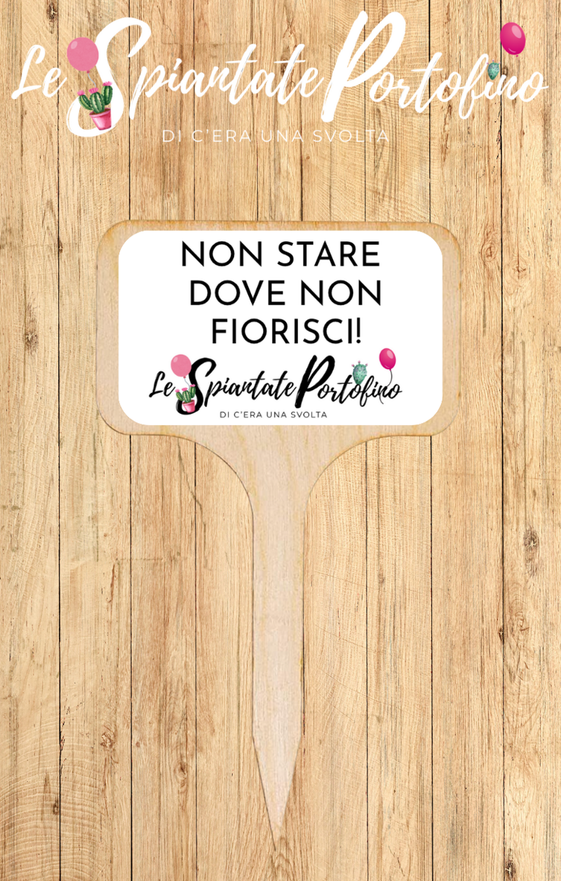 tag-frase-ispirazionale-4