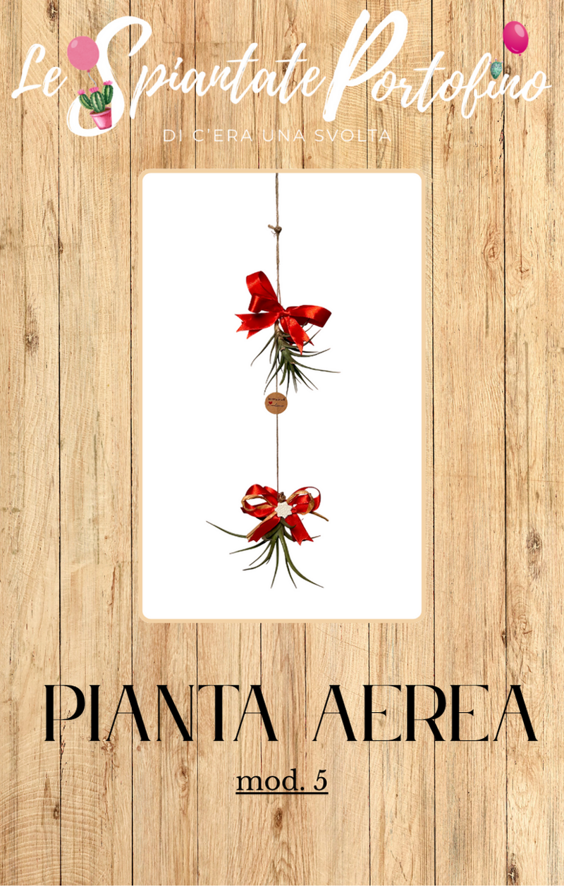 pianta-aerea-mod5