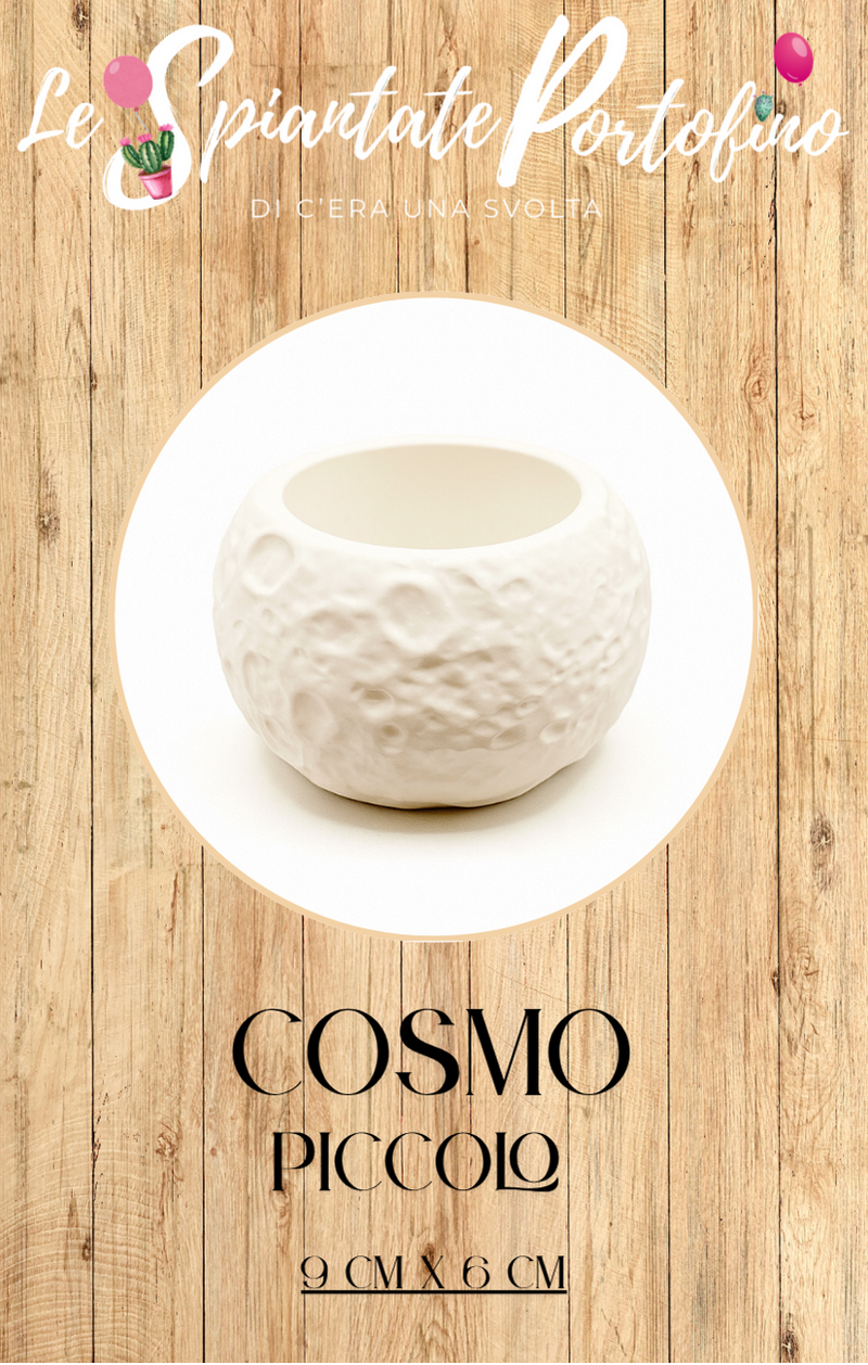 vasetto-cosmo-piccolo-9cm-x-6cm