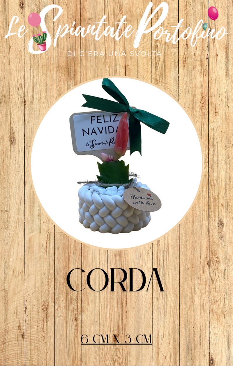 corda-6cm-x-3cm