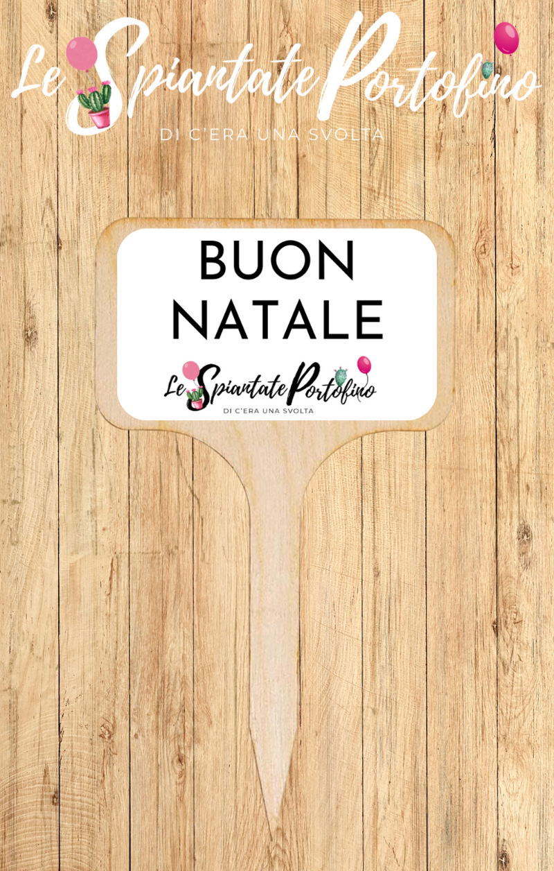 tag-frase-ispirazionale-21