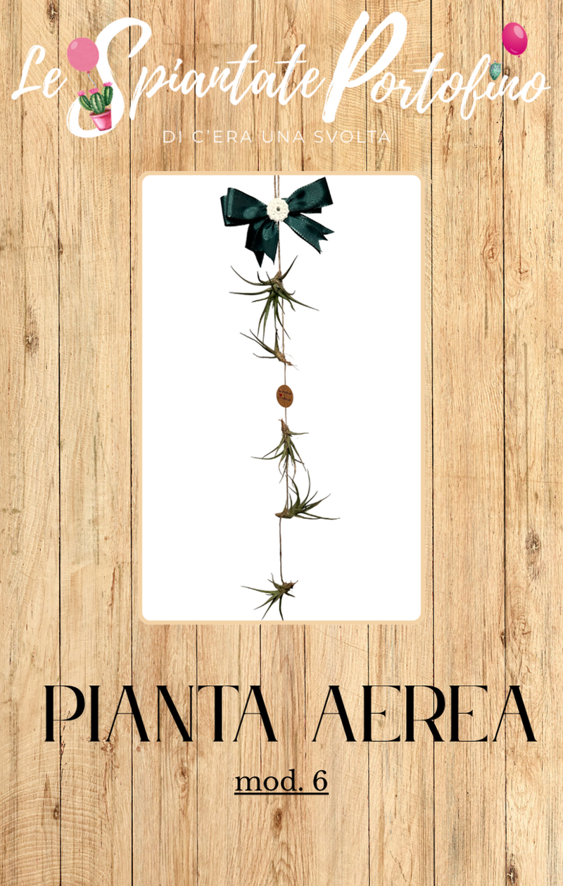 pianta-aerea-mod6