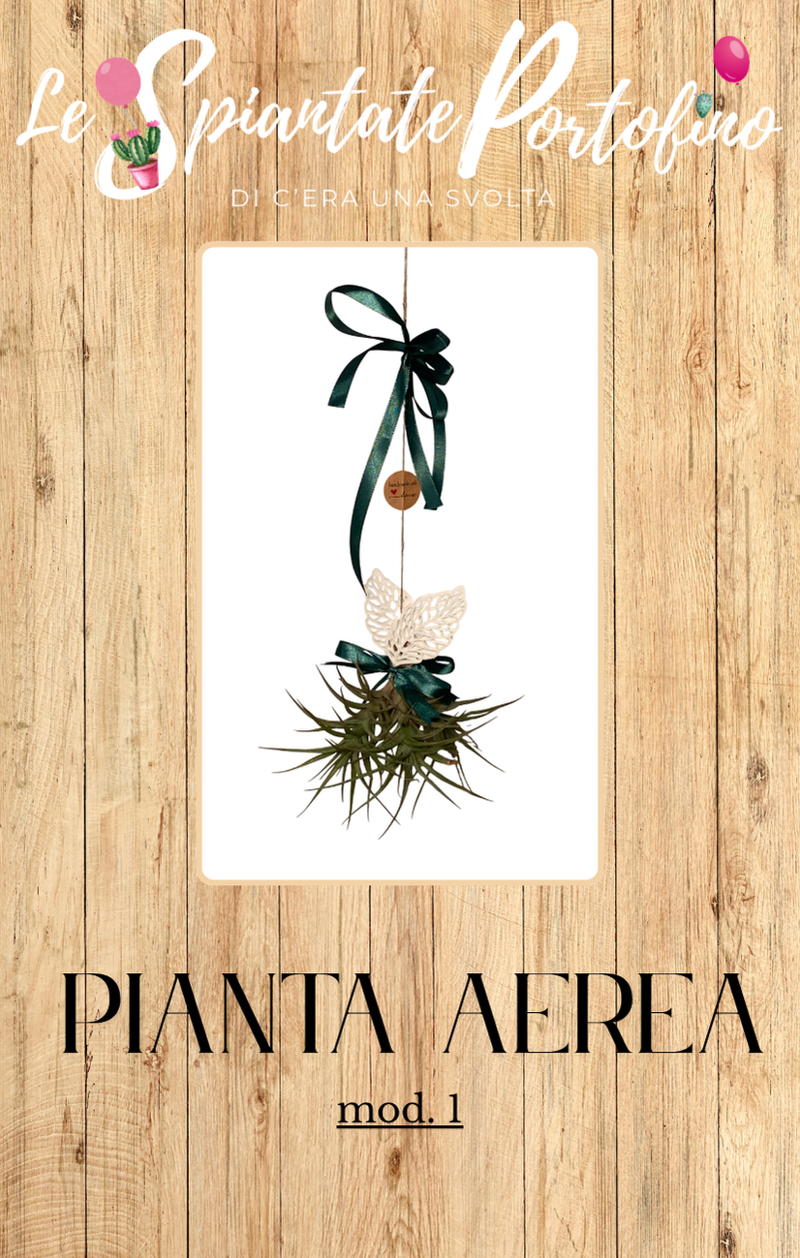 pianta-aerea-mod1