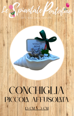 conchiglia-piccola-affusolata-13cm-x-3cm