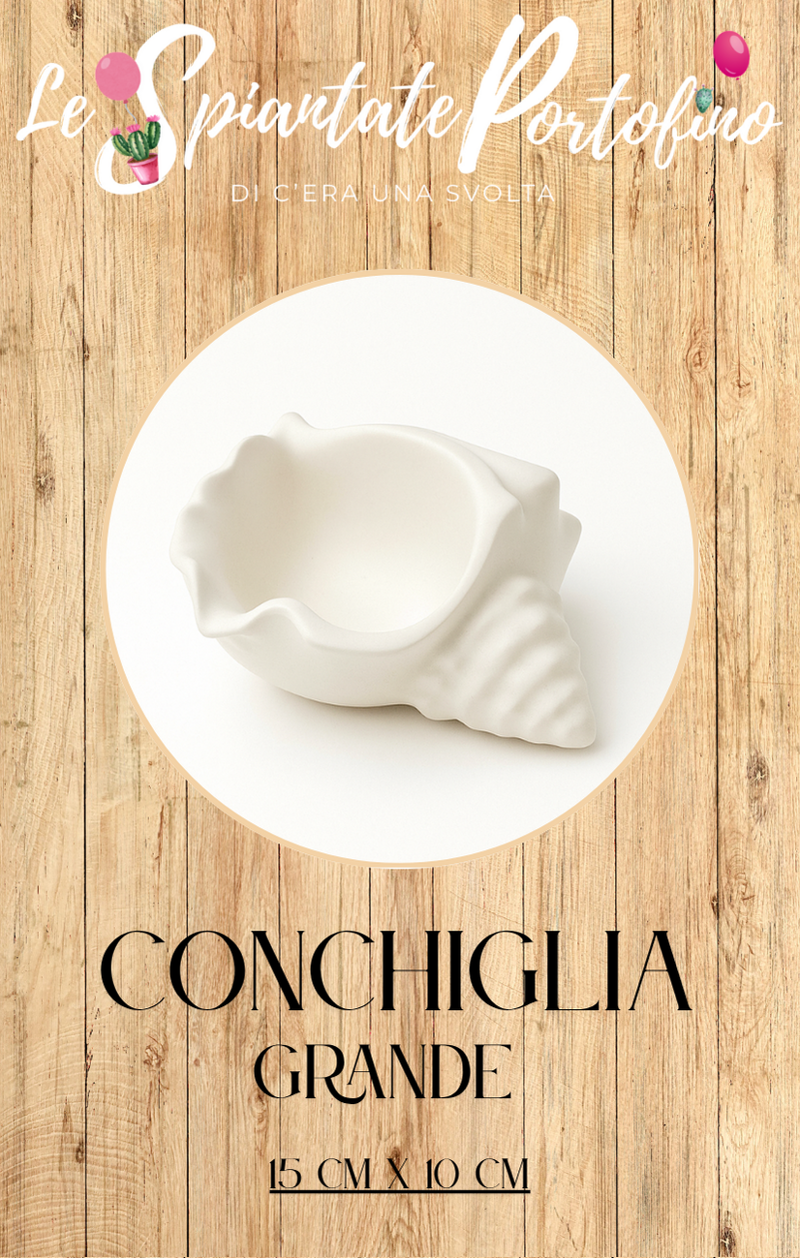 vasetto-conchiglia-grande-15cm-x-10cm