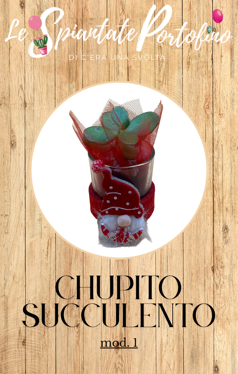 chupito-succulento-mod1