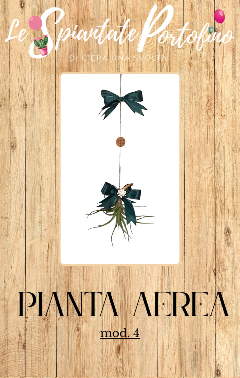pianta-aerea-mod4