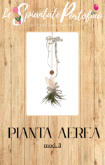 pianta-aerea-mod3