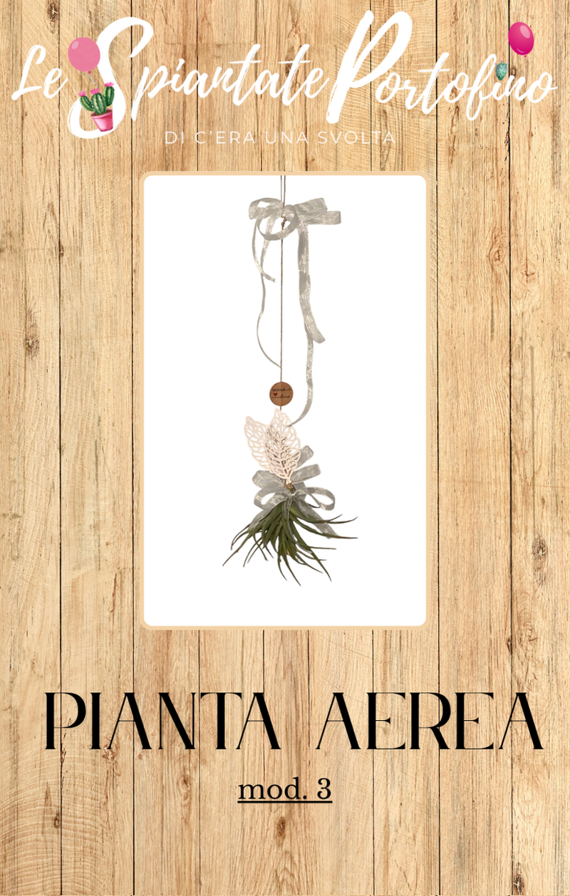 pianta-aerea-mod3