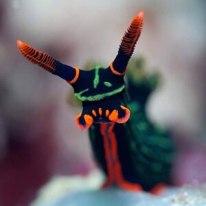 img_3517.jpeg