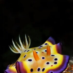 img_4204.jpeg